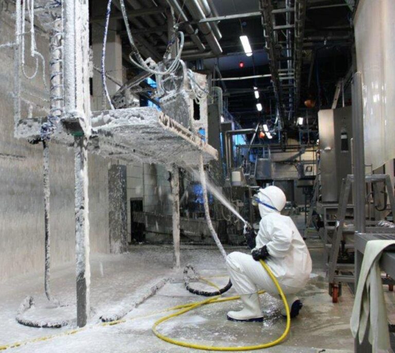 WhatsApp Image 2025-07-05 at 20.45.58 (2)