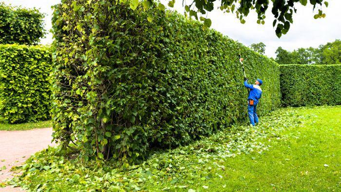 WhatsApp Image 2025-07-05 at 20.47.06 (1)