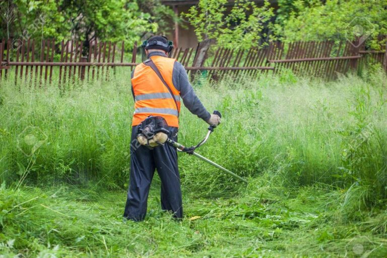 WhatsApp Image 2025-07-05 at 20.47.06 (2)