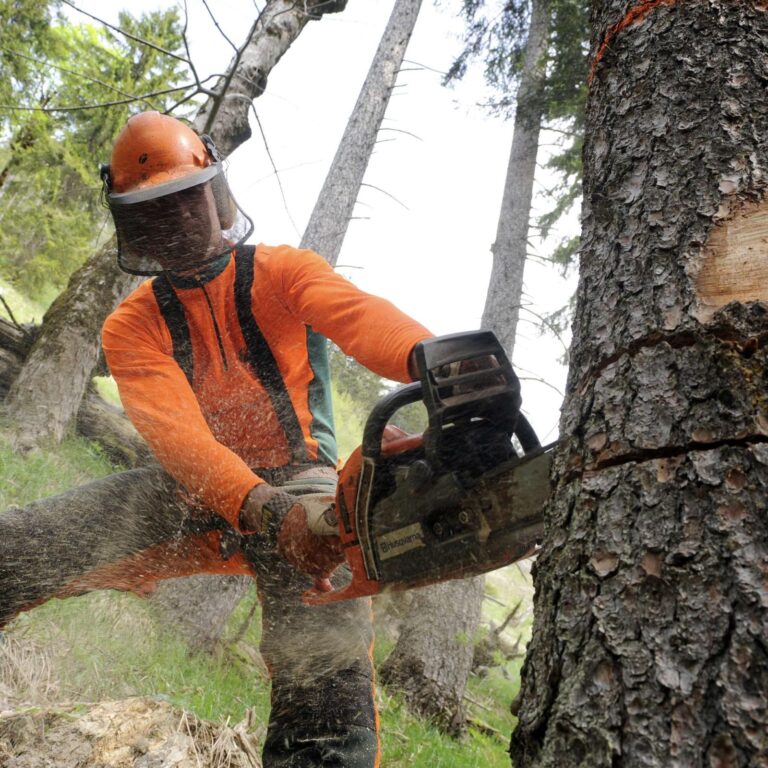 WhatsApp Image 2025-07-05 at 20.47.06