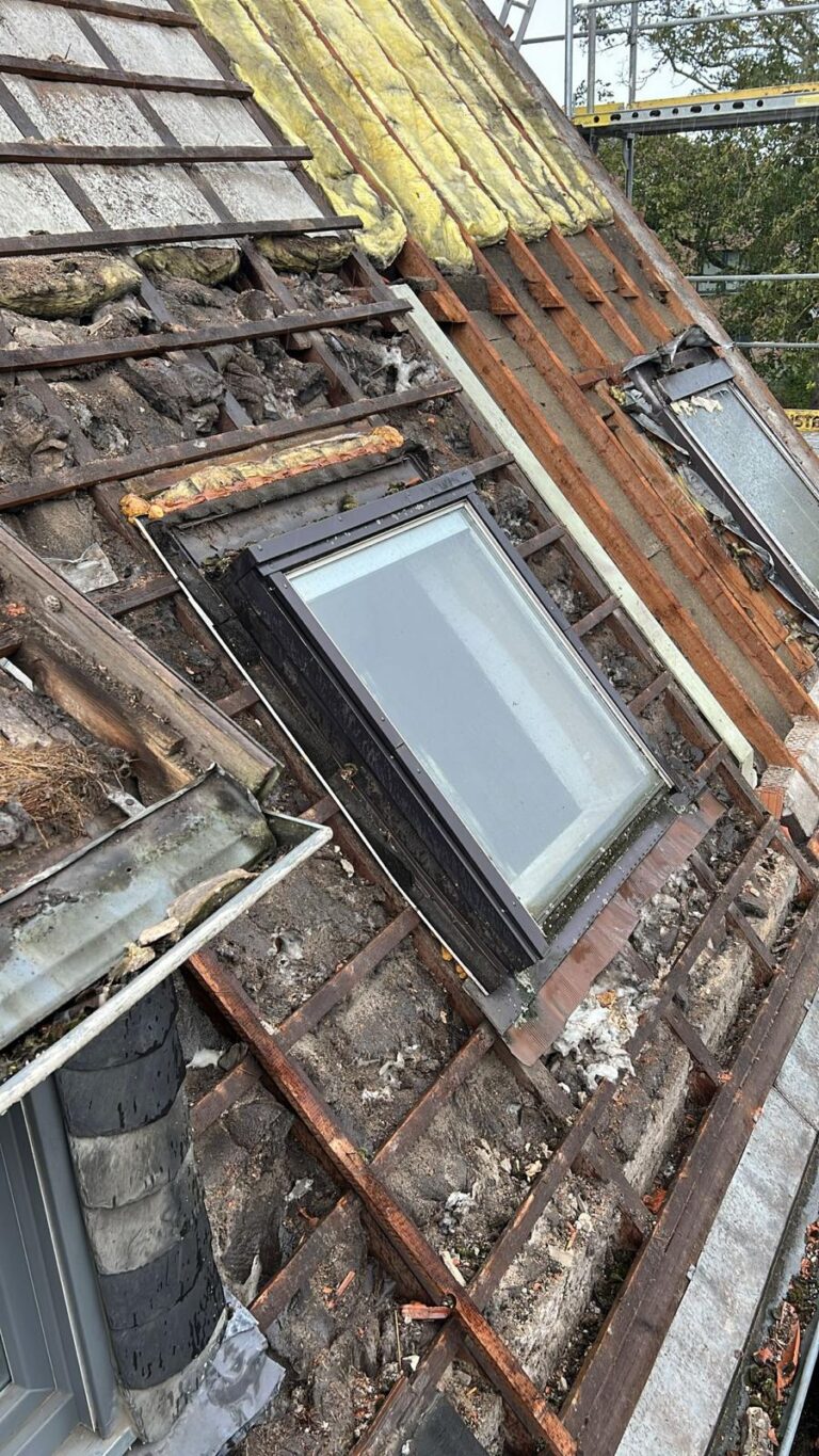 WhatsApp Image 2025-07-05 at 20.47.08 (2)